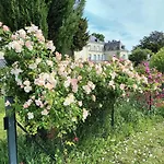 D'hotes Le Chateau De La Plante לינה וארוחת בוקר Thuré