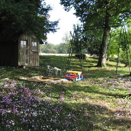 D'hotes Le Chateau De La Plante Bed & Breakfast Thure
