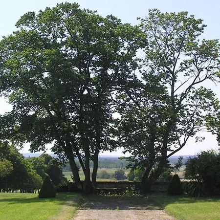 普兰特城堡住宿加早餐酒店 住宿加早餐酒店 Thuré
