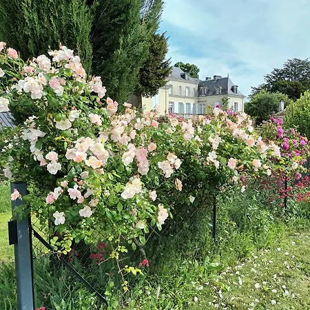 D'hotes Le Chateau De La Plante Bed & Breakfast Thure